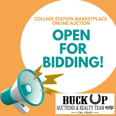 Image for College Station Marketplace Online Auction