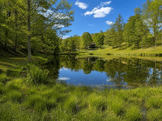Image for Highland County Multi Parcel Real Estate Auction