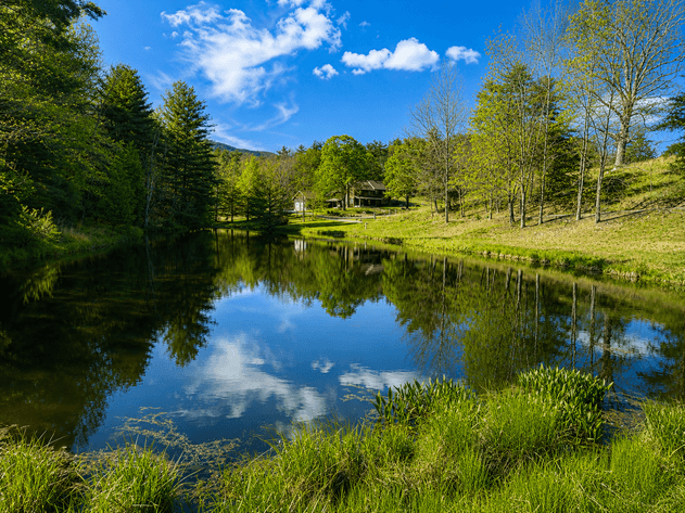 Image for Highland County Multi Parcel Real Estate Auction