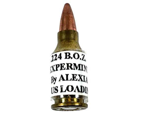 Image for Antique Ammunition Online Auction