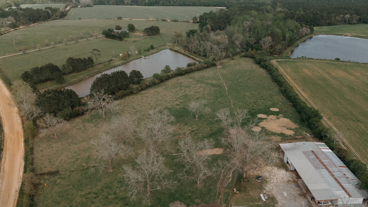 Image for Southern Mitchell County Home on 28.90+/- Acres