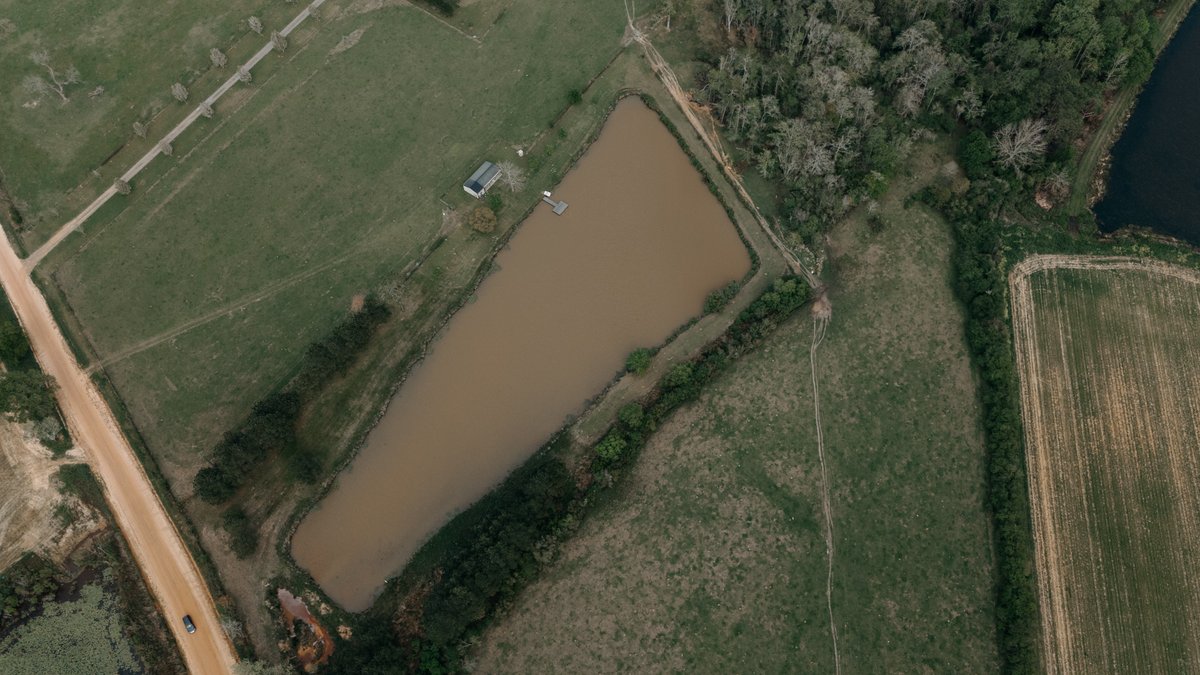 Image for Southern Mitchell County Home on 28.90+/- Acres