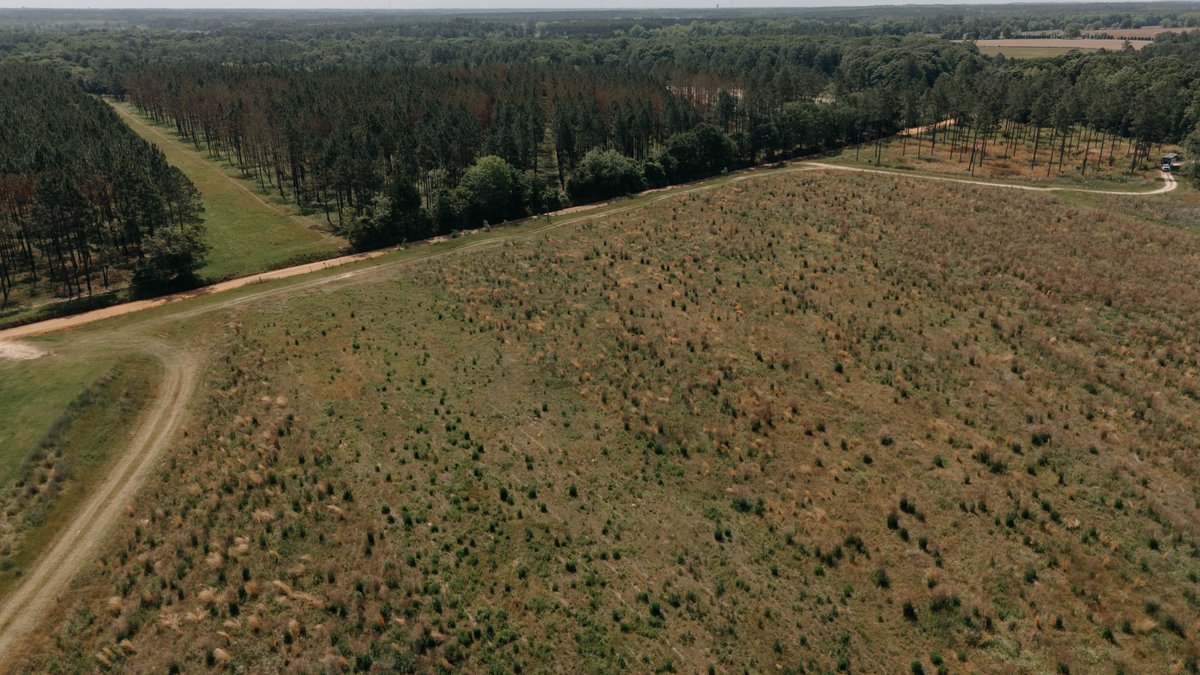 Image for *UNDER CONTRACT * 90.3 +/- Acres and Quaint Home in Tift County