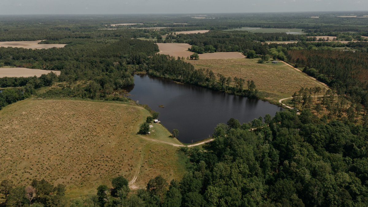 Image for *UNDER CONTRACT * 90.3 +/- Acres and Quaint Home in Tift County