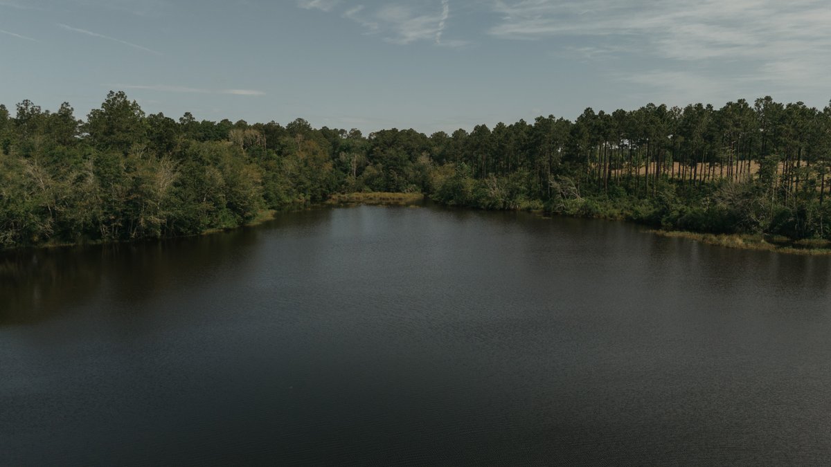 Image for *UNDER CONTRACT * 90.3 +/- Acres and Quaint Home in Tift County