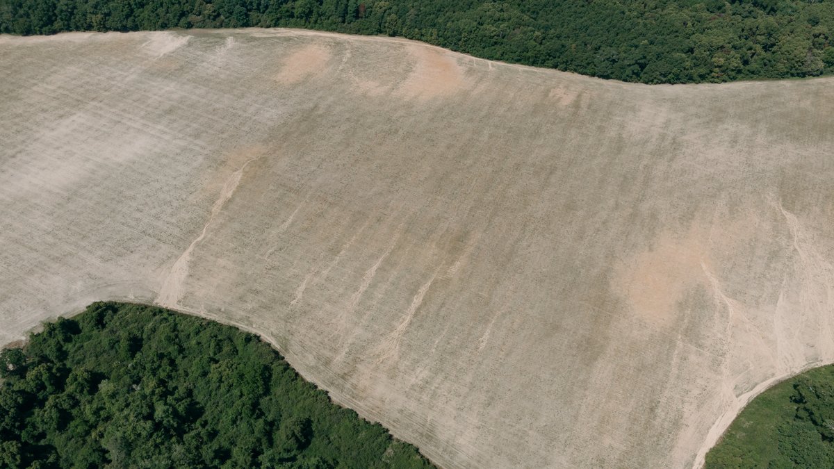 Image for 143 +/- Acre Investment Opportunity in Northern Thomas County, Georgia
