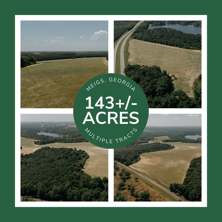 Image for 143 +/- Acre Investment Opportunity in Northern Thomas County, Georgia
