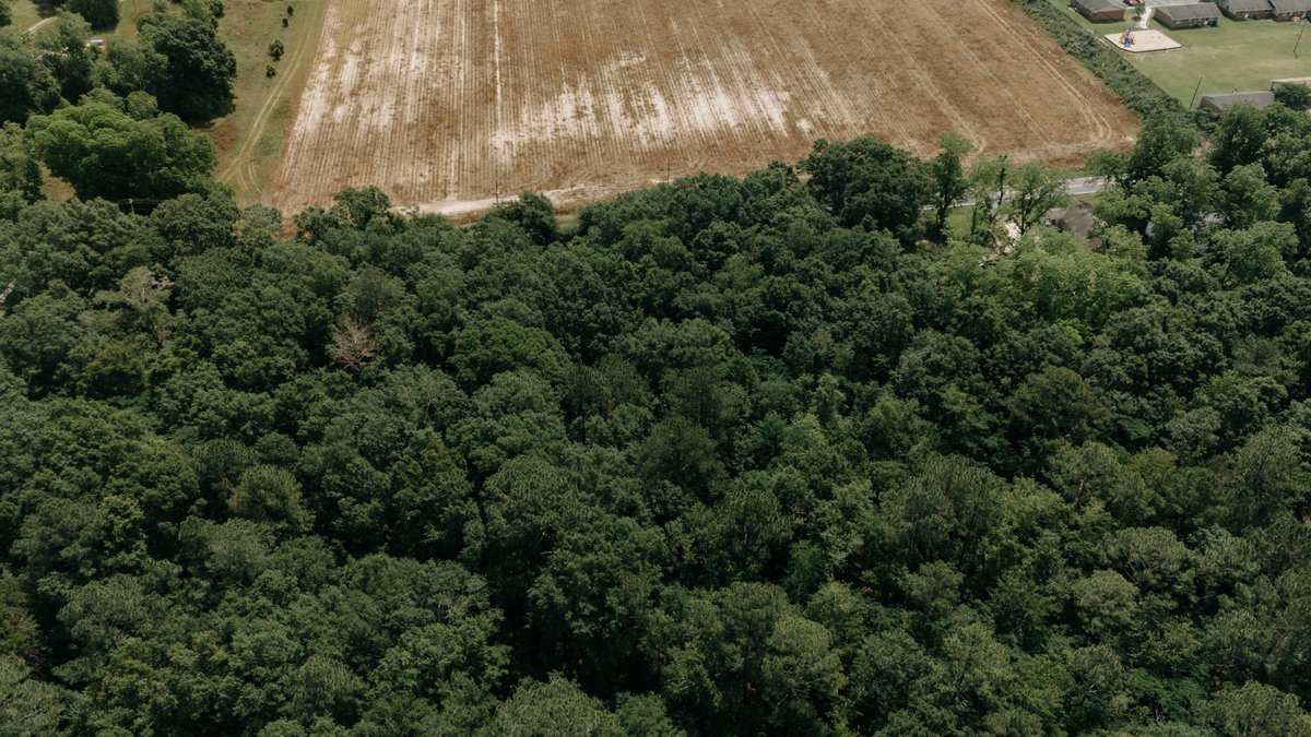 Image for Residential and Investment Real Estate in Worth and Tift County - The Estate of Henry Gordon Davis, Jr.