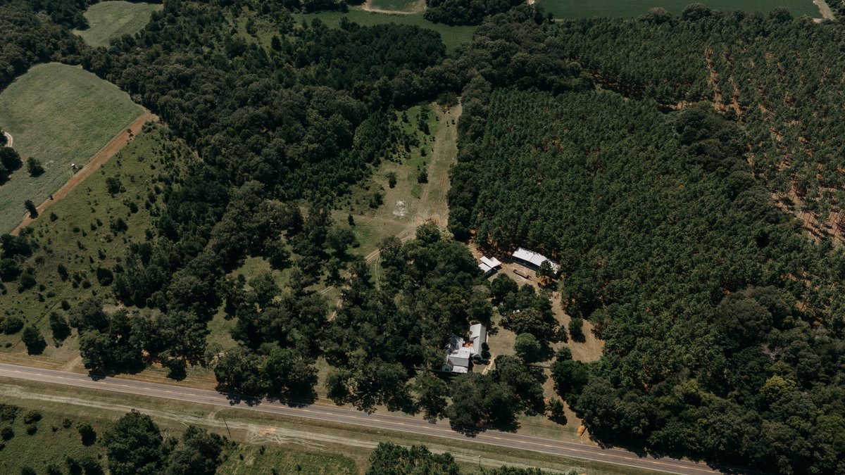 Image for 77.2 +/- Acre Sumter County Retreat: Restored Farmhouse, Hunting Land, and Timber Offered in Four Tracts