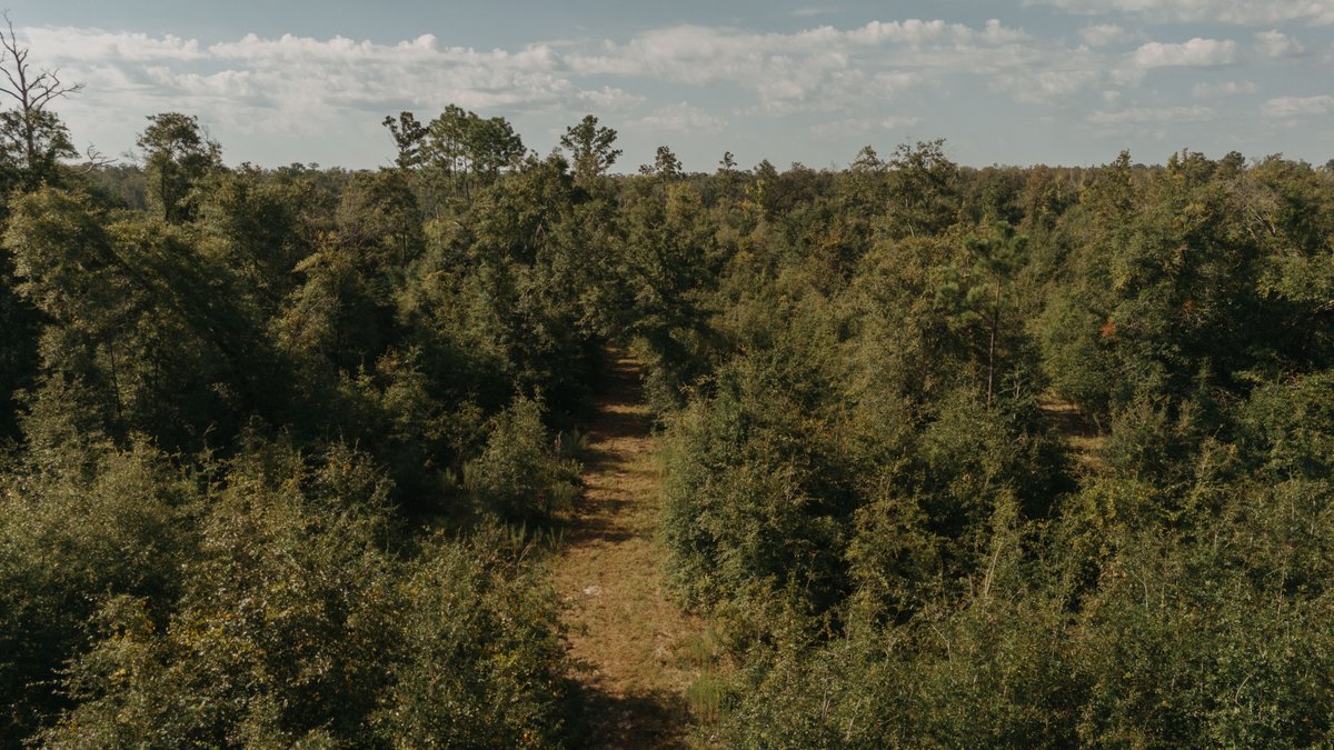 Image for 140.5 +/-  Acre Recreational Tract Jackson County, Florida