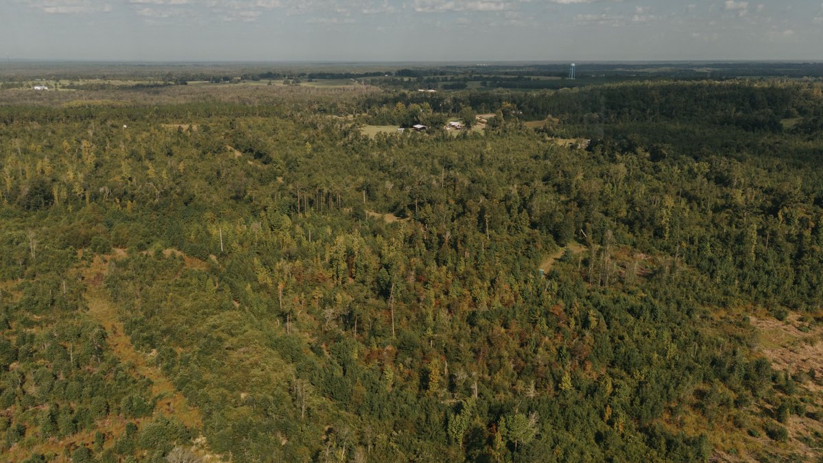 Image for 140.5 +/-  Acre Recreational Tract Jackson County, Florida