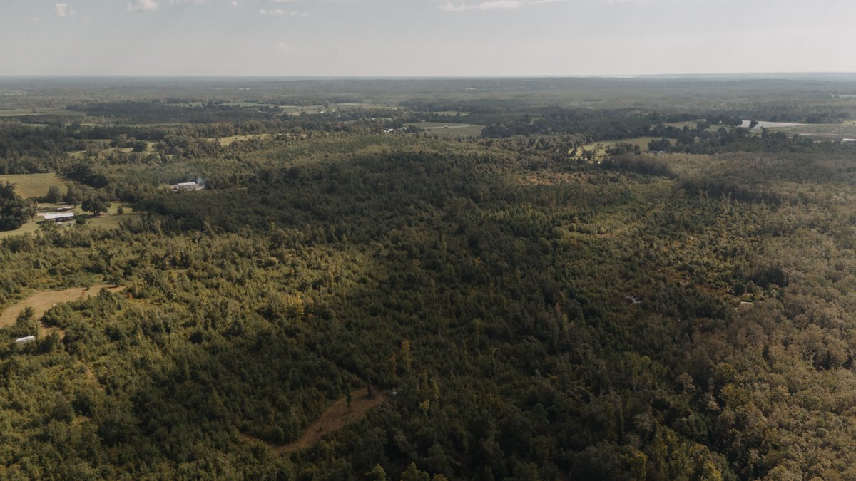 Image for 140.5 +/-  Acre Recreational Tract Jackson County, Florida