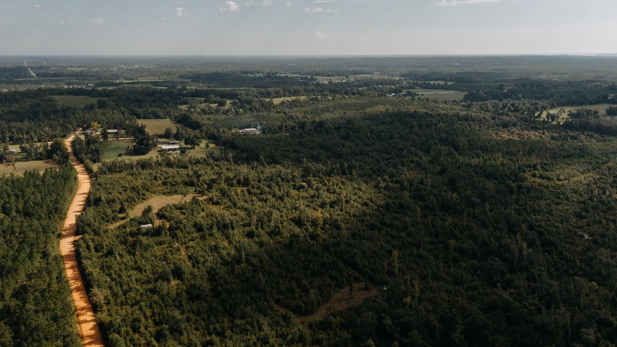 Image for 140.5 +/-  Acre Recreational Tract Jackson County, Florida