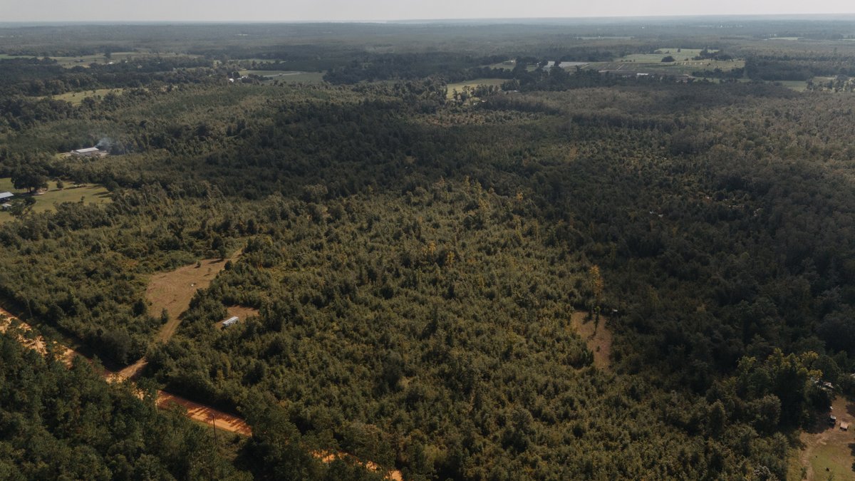 Image for 140.5 +/-  Acre Recreational Tract Jackson County, Florida