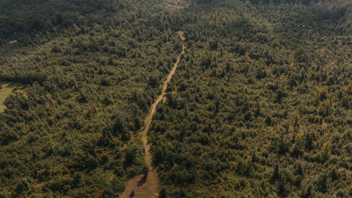 Image for 140.5 +/-  Acre Recreational Tract Jackson County, Florida