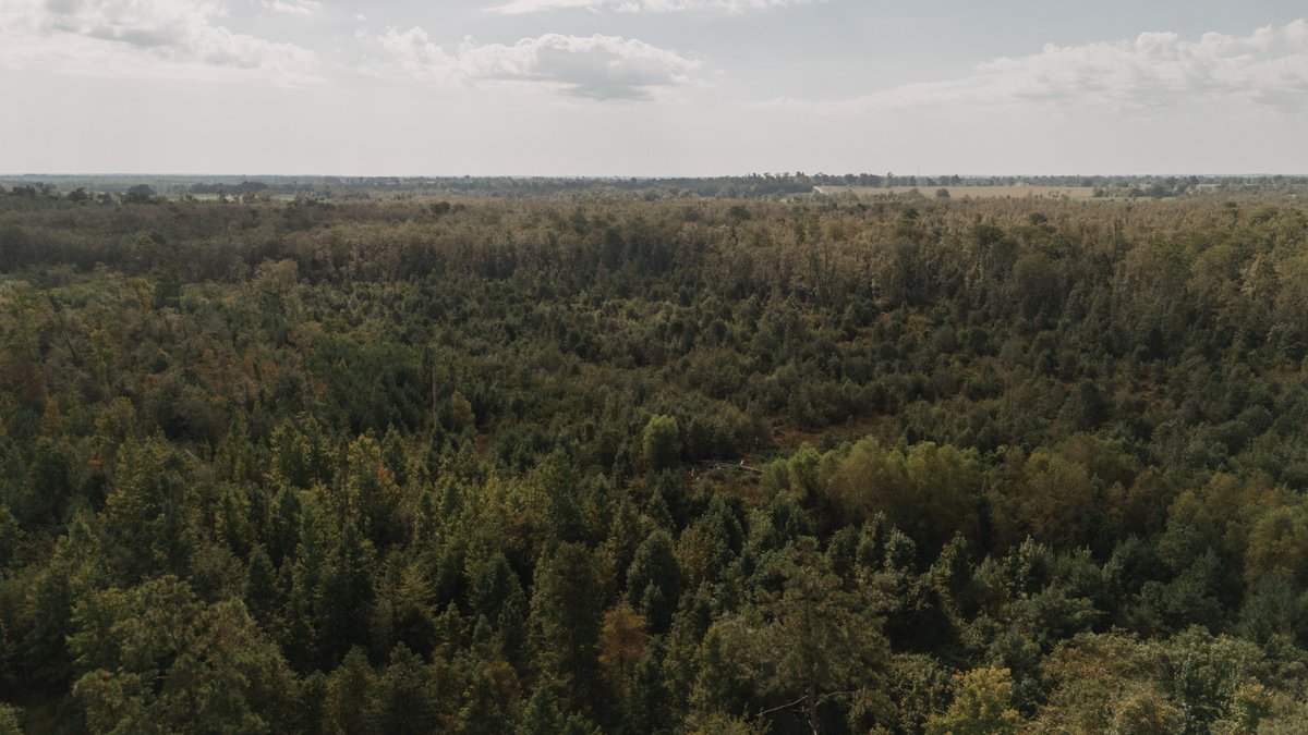 Image for 140.5 +/-  Acre Recreational Tract Jackson County, Florida