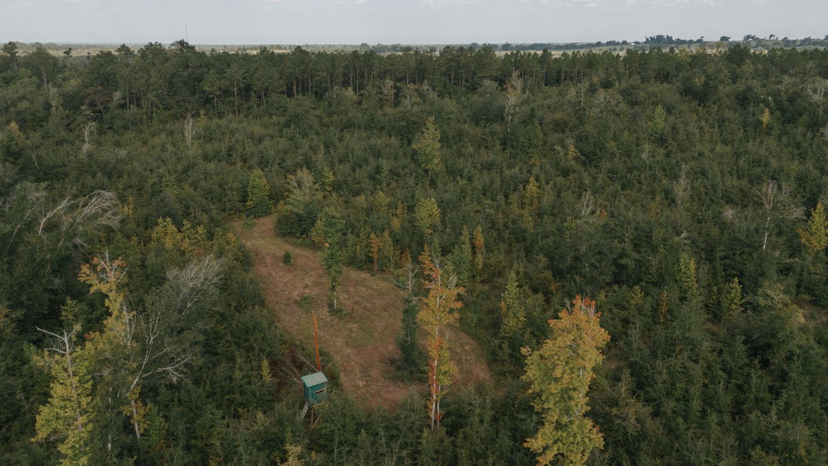 Image for 140.5 +/-  Acre Recreational Tract Jackson County, Florida