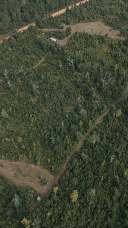Image for 140.5 +/-  Acre Recreational Tract Jackson County, Florida