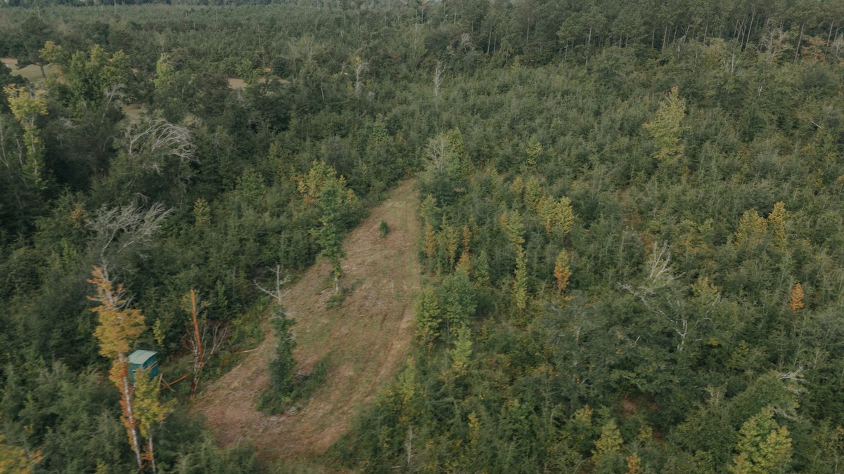 Image for 140.5 +/-  Acre Recreational Tract Jackson County, Florida
