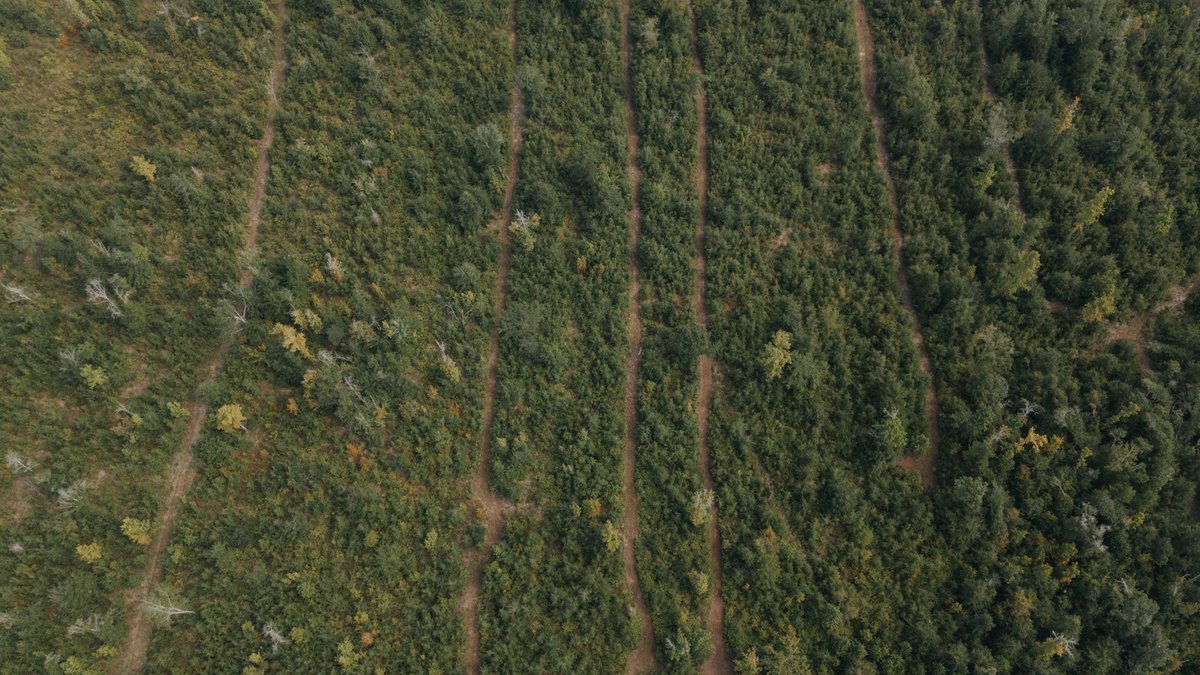 Image for 140.5 +/-  Acre Recreational Tract Jackson County, Florida