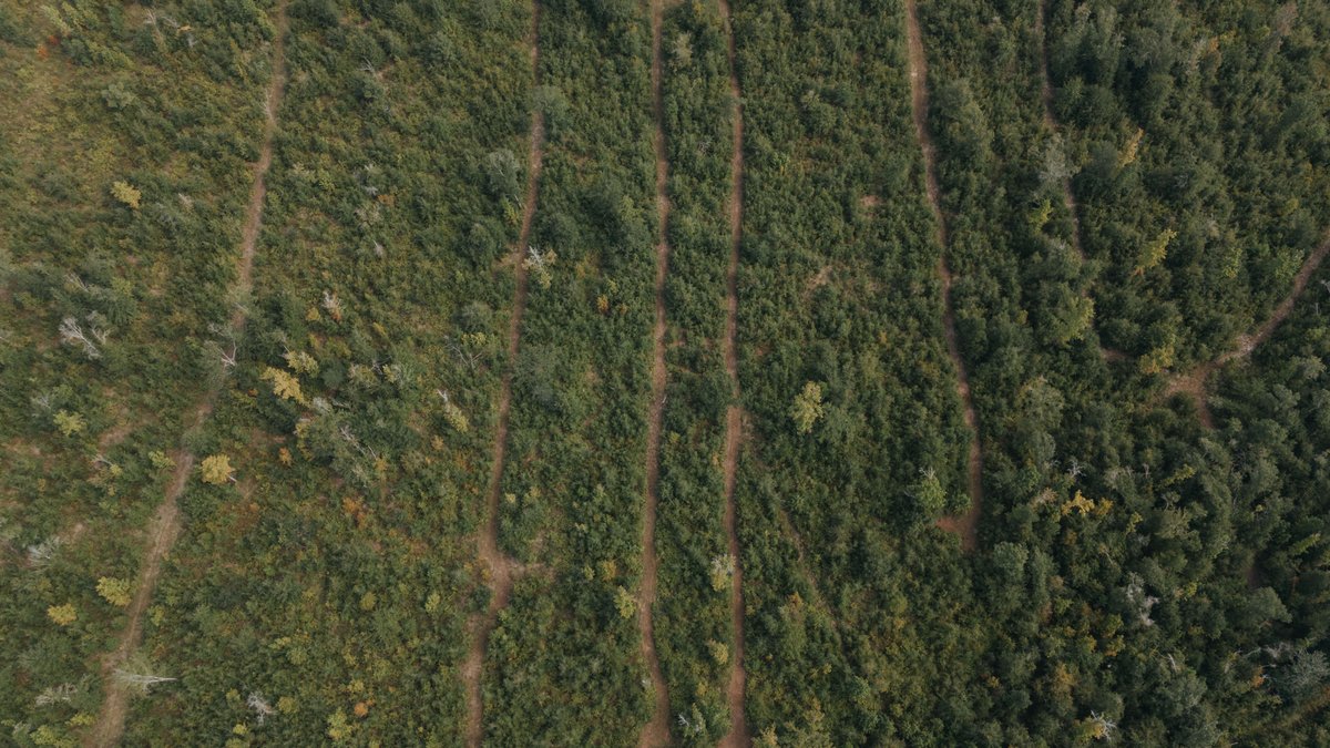 Image for 140.5 +/-  Acre Recreational Tract Jackson County, Florida