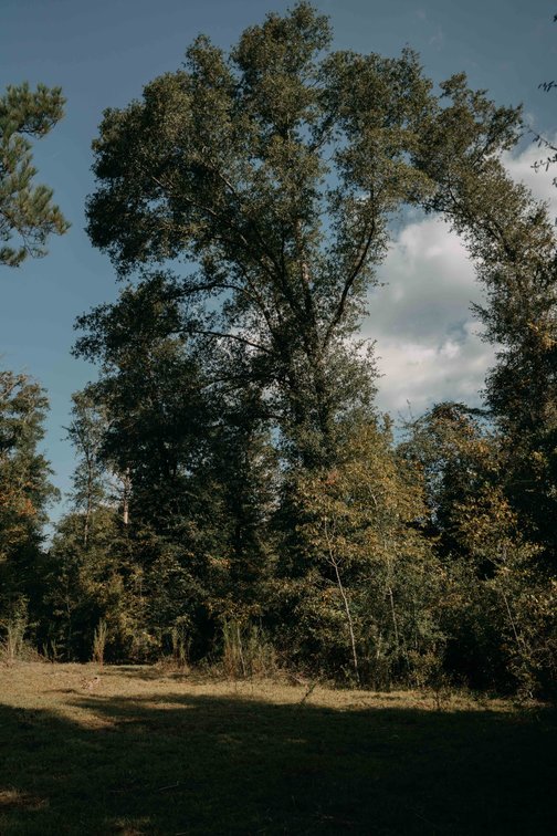 Image for 140.5 +/-  Acre Recreational Tract Jackson County, Florida