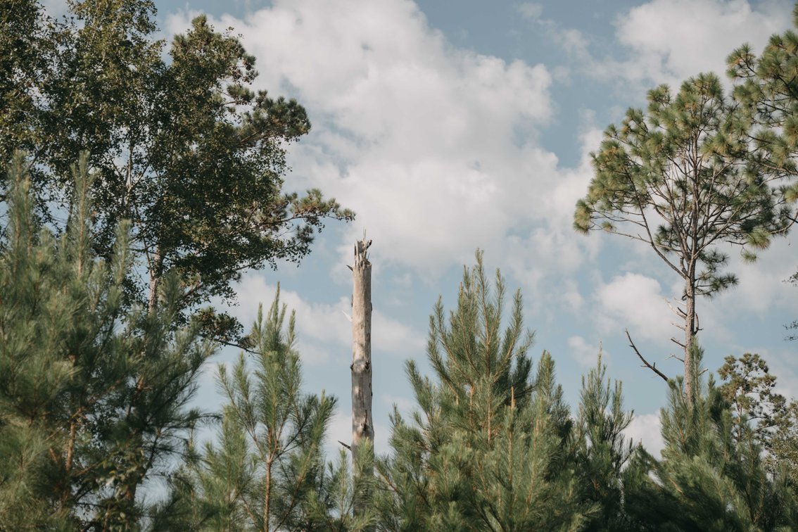 Image for 140.5 +/-  Acre Recreational Tract Jackson County, Florida