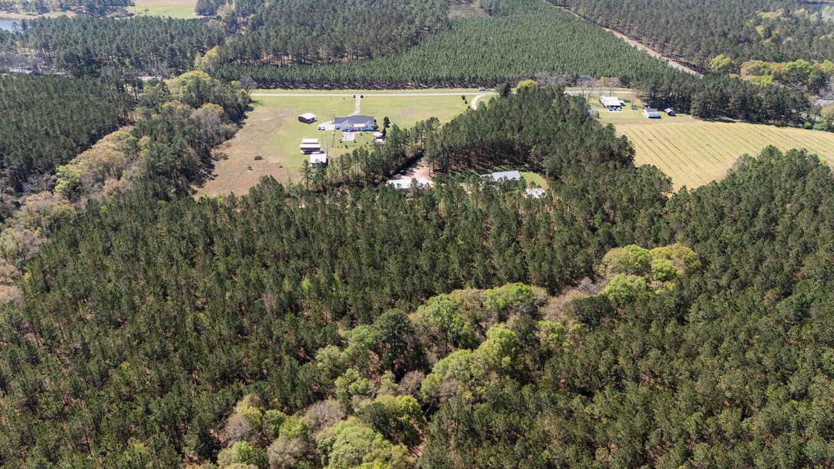 Image for 15.05± Acres of Planted Pine Timberland | Mitchell County, GA