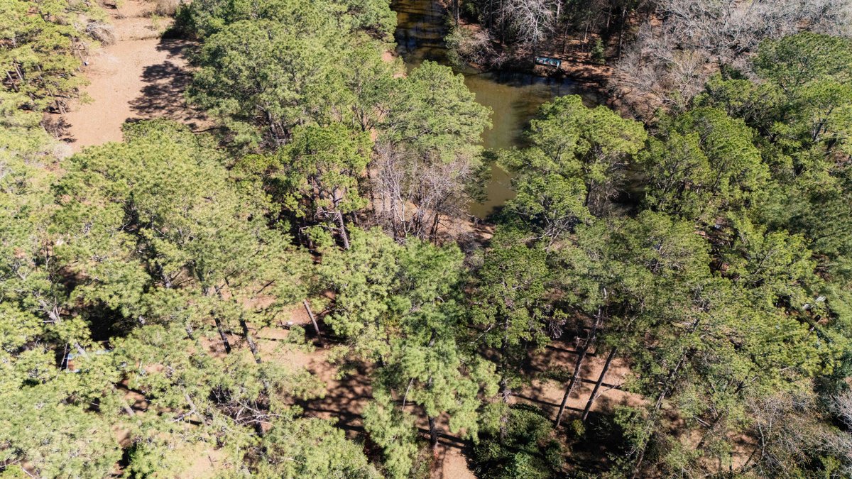 Image for Country Estate Home on 7.98± Acres | Albany, Georgia
