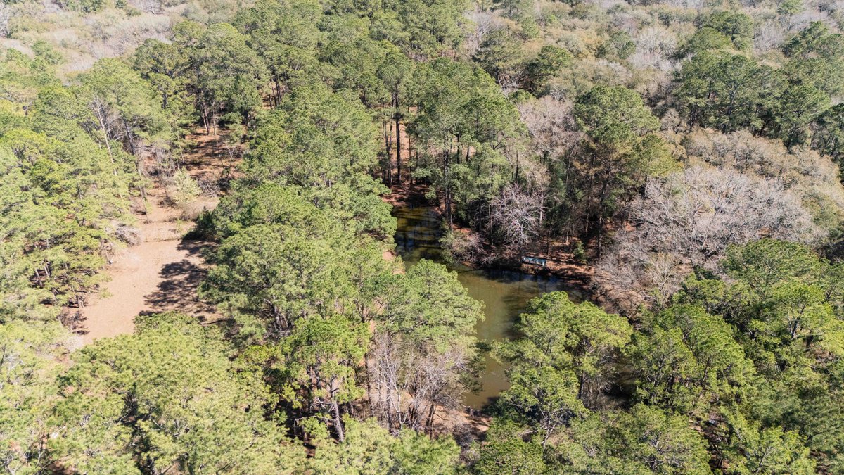 Image for Country Estate Home on 7.98± Acres | Albany, Georgia