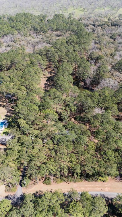 Image for Country Estate Home on 7.98± Acres | Albany, Georgia