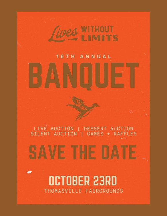 Image for 16th Annual Lives Without Limits Fundraiser