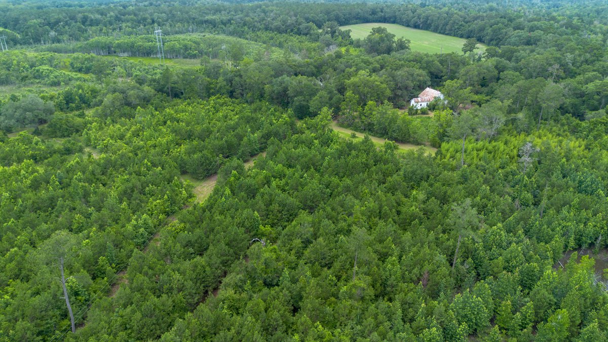 Image for Historic 55± Acre Farm Estate