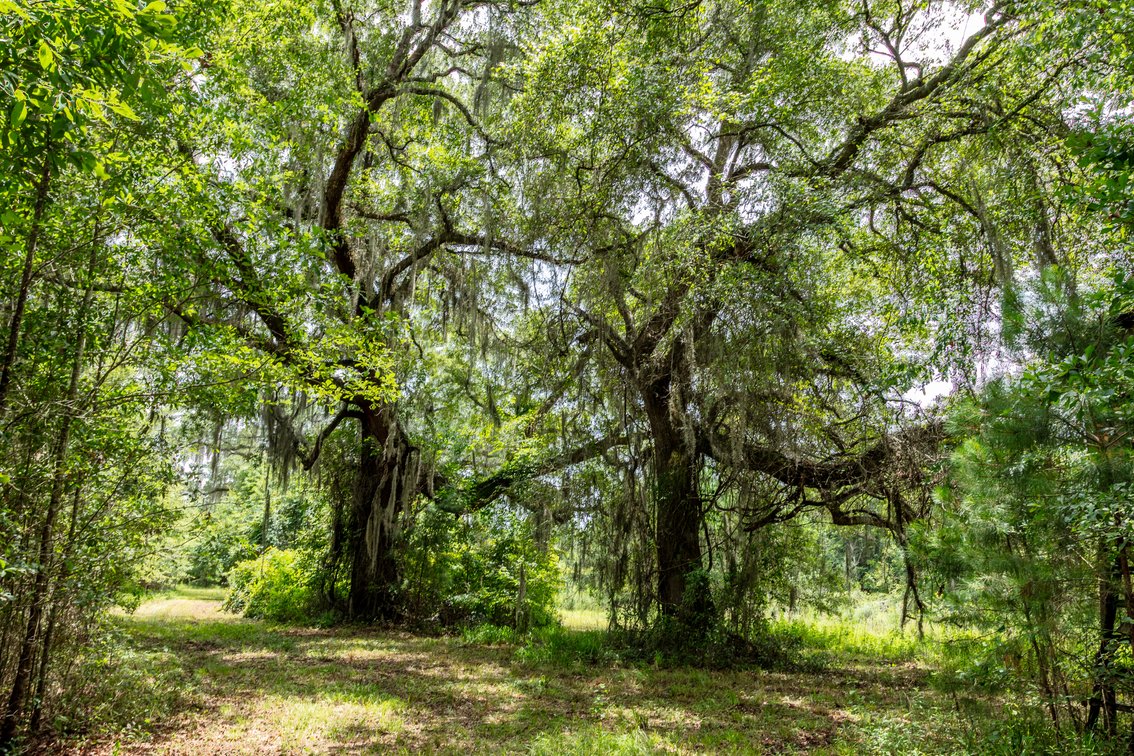 Image for Historic 55± Acre Farm Estate