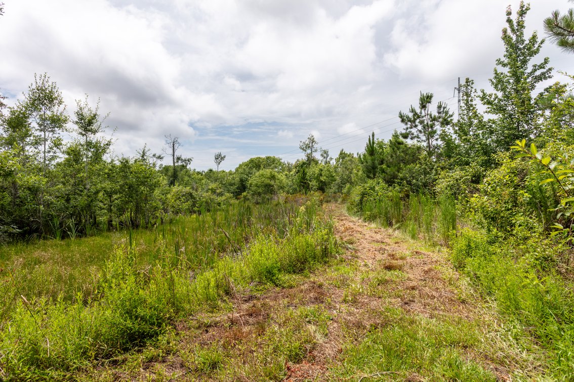 Image for Historic 55± Acre Farm Estate