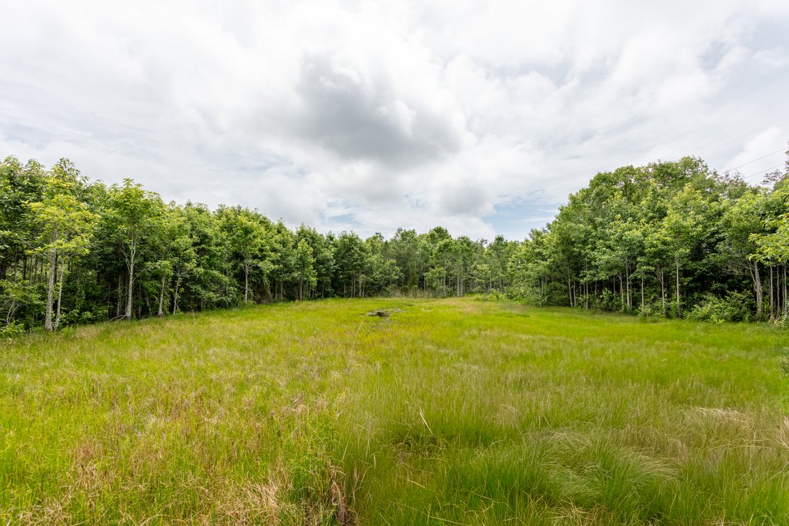 Image for Historic 55± Acre Farm Estate