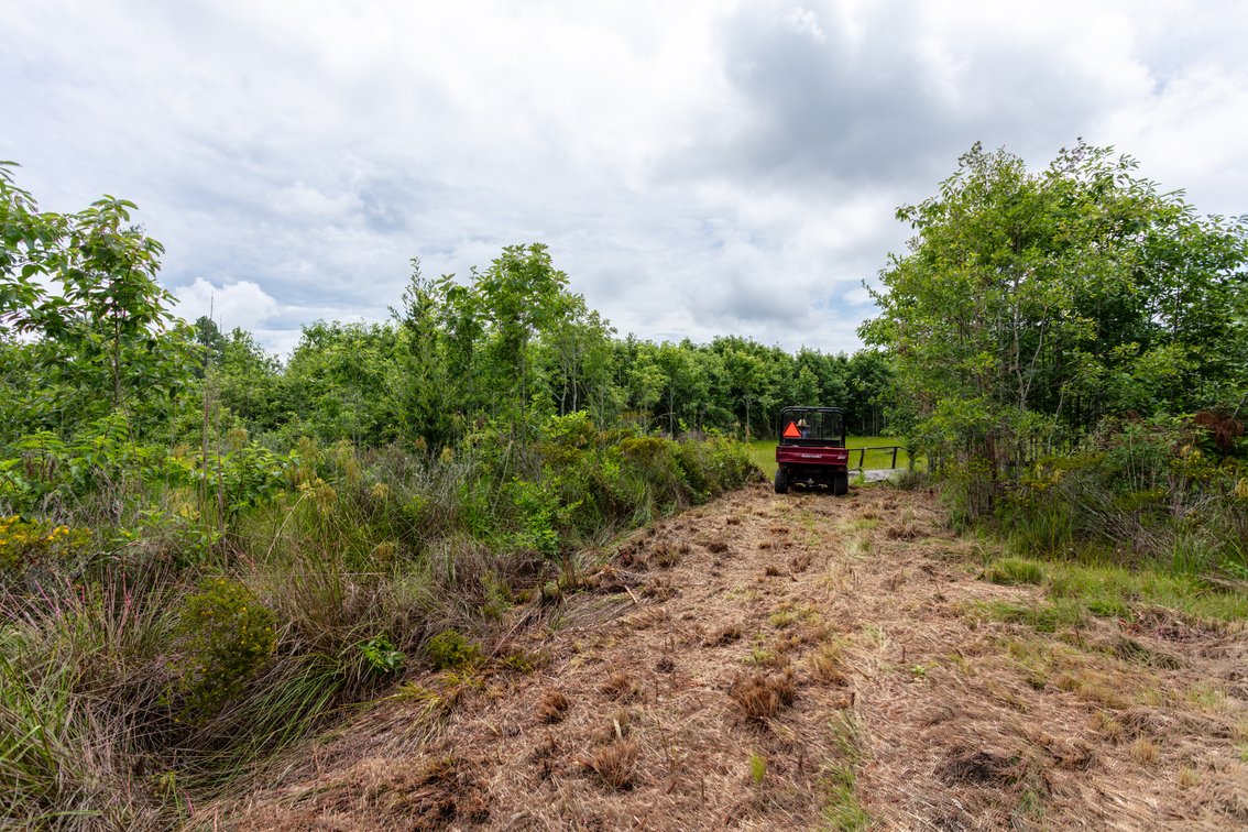 Image for Historic 55± Acre Farm Estate