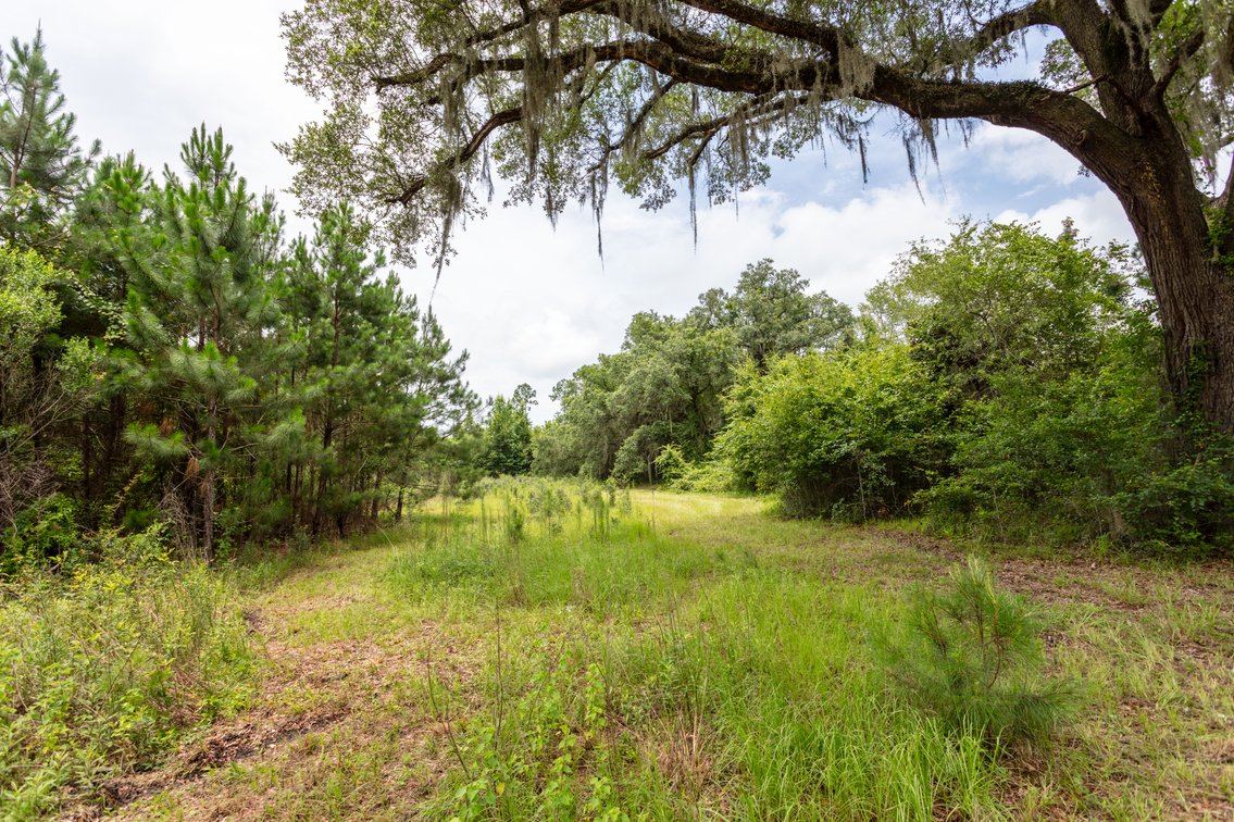 Image for Historic 55± Acre Farm Estate