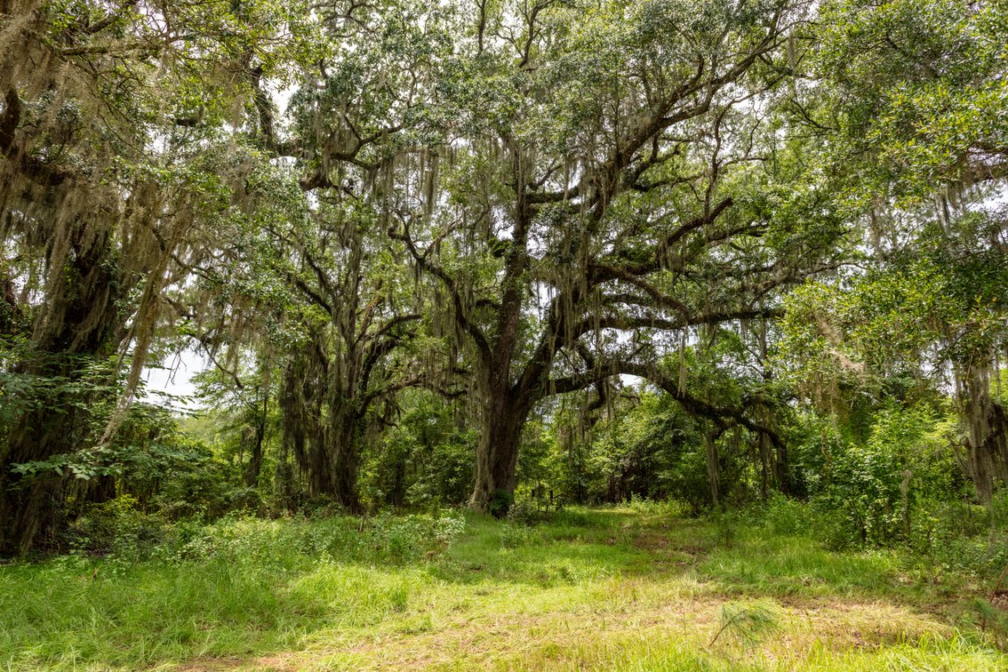 Image for Historic 55± Acre Farm Estate