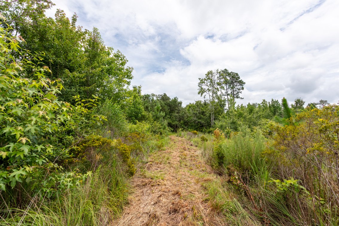 Image for Historic 55± Acre Farm Estate