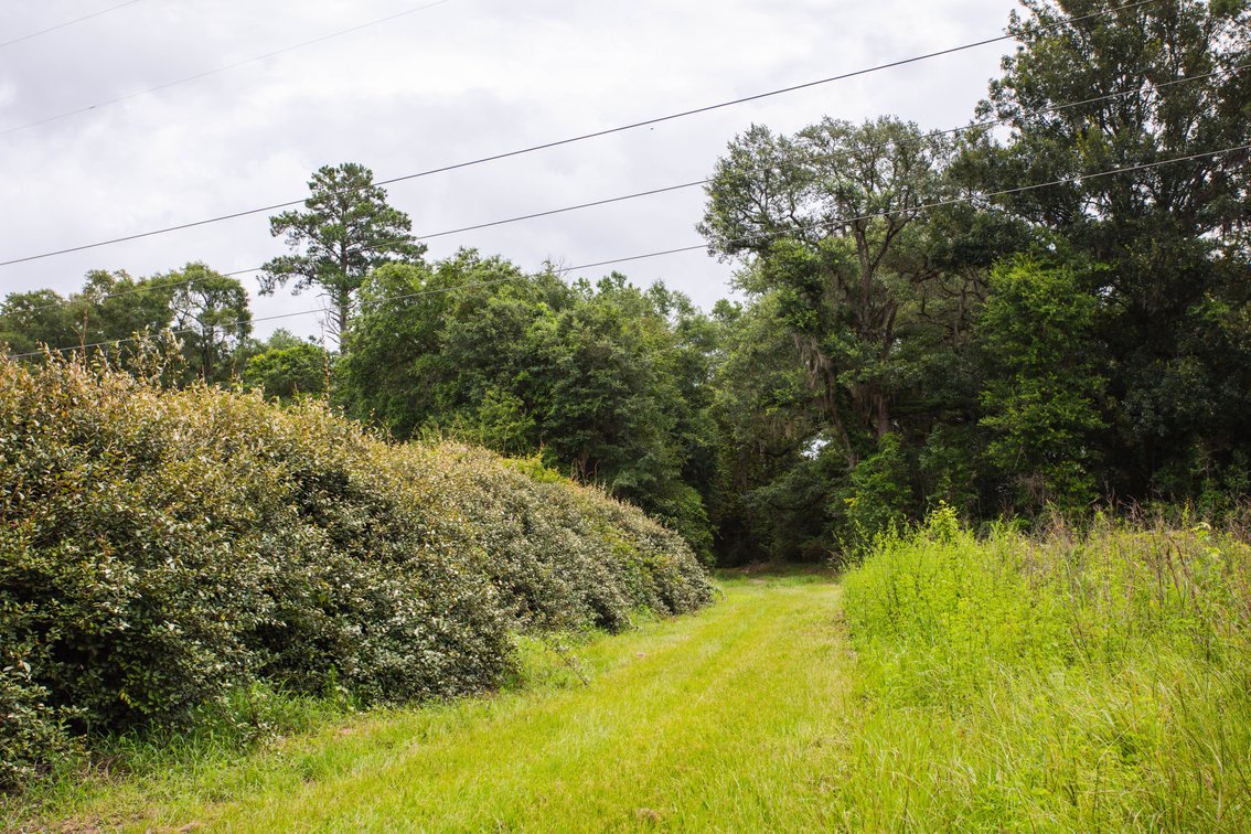 Image for Historic 55± Acre Farm Estate