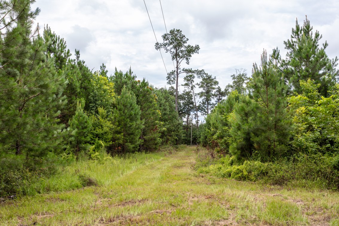 Image for Historic 55± Acre Farm Estate