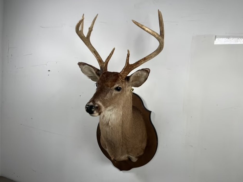 Image for Summer 2026 Sportsman Artwork, Artifacts, Collectibles and More Auction