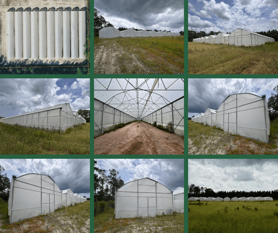 Image for Hawthorne, Florida Greenhouse Auction — Ten High Tunnel Greenhouses Selling Individually