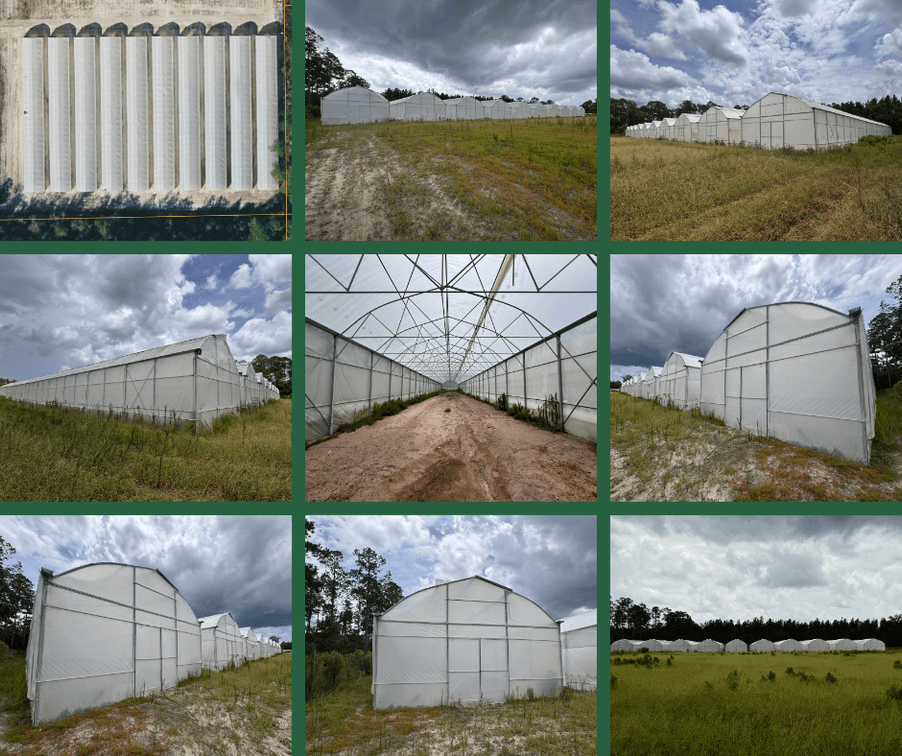 Image for Hawthorne, Florida Greenhouse Auction — Ten High Tunnel Greenhouses Selling Individually