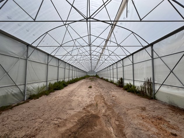 Image for Hawthorne, Florida Greenhouse Auction — Ten High Tunnel Greenhouses Selling Individually
