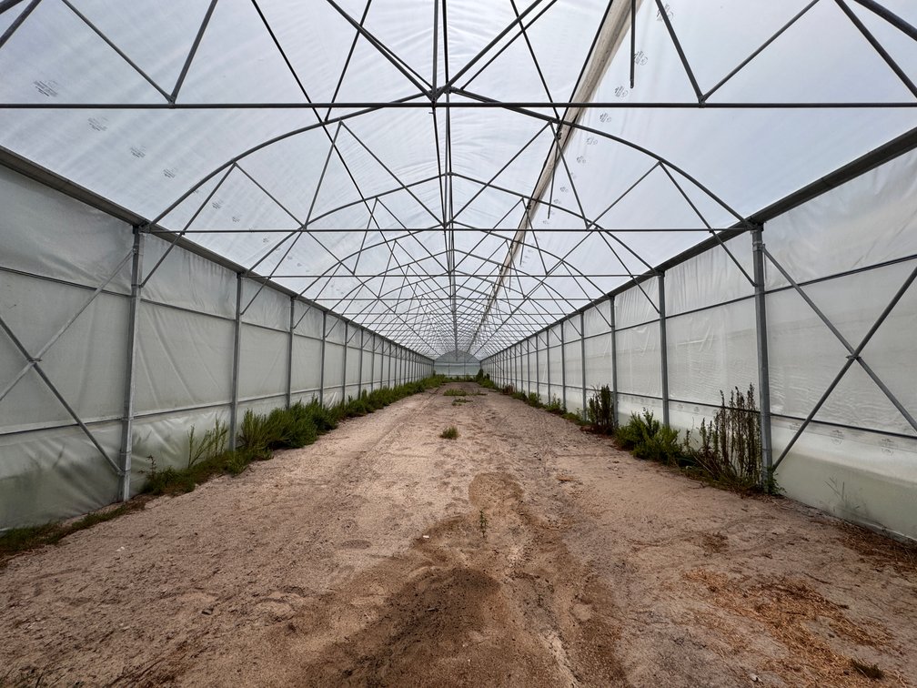 Image for Hawthorne, Florida Greenhouse Auction — Ten High Tunnel Greenhouses Selling Individually