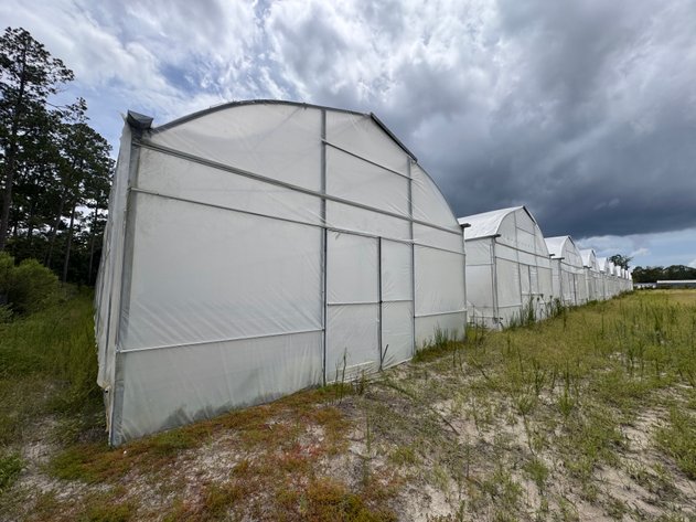 Image for Hawthorne, Florida Greenhouse Auction — Ten High Tunnel Greenhouses Selling Individually