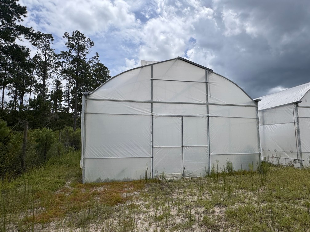 Image for Hawthorne, Florida Greenhouse Auction — Ten High Tunnel Greenhouses Selling Individually