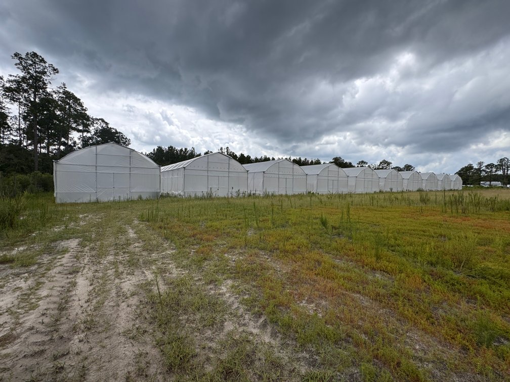 Image for Hawthorne, Florida Greenhouse Auction — Ten High Tunnel Greenhouses Selling Individually